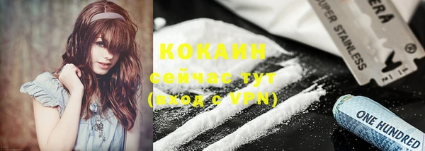 шишки Медвежьегорск