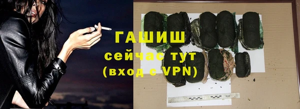 шишки Медвежьегорск