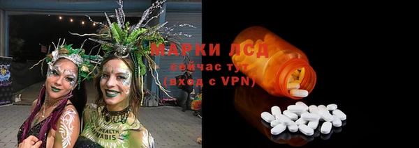 шишки Медвежьегорск