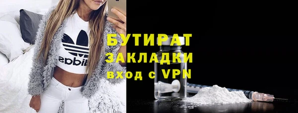 шишки Медвежьегорск