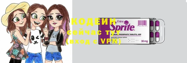 шишки Медвежьегорск