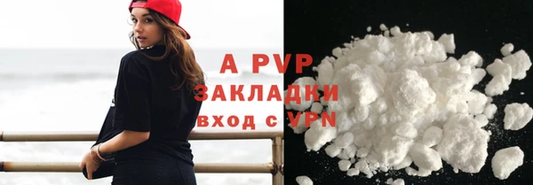 шишки Медвежьегорск