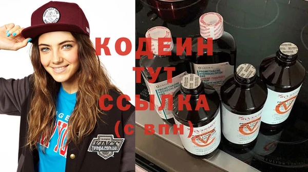 шишки Медвежьегорск
