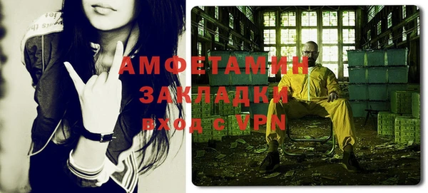 шишки Медвежьегорск