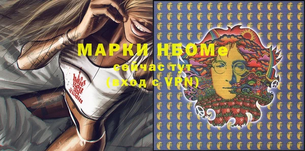 шишки Медвежьегорск