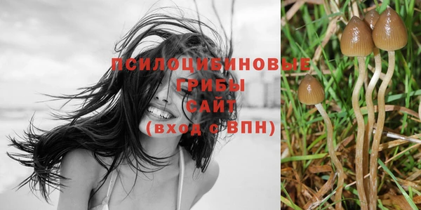 СК Мегион