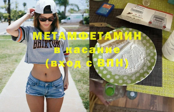 шишки Медвежьегорск