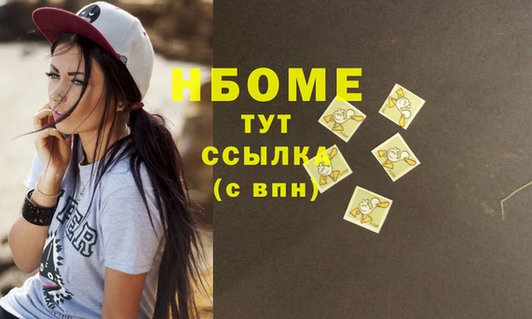 шишки Медвежьегорск