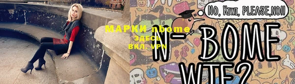 шишки Медвежьегорск