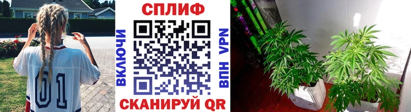 Купить  Североморск  Марихуана AK-47 